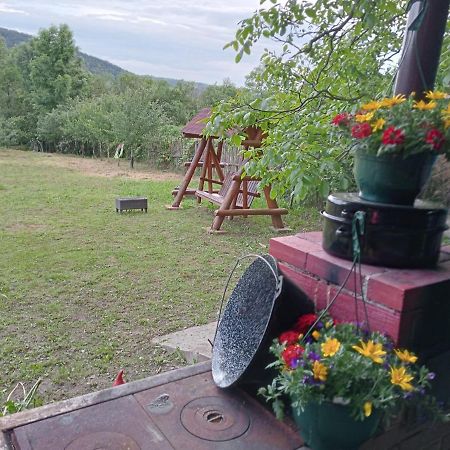Hello Nature House - Cheile Nerei, Carasului, Garlistei Giurgiova 外观 照片