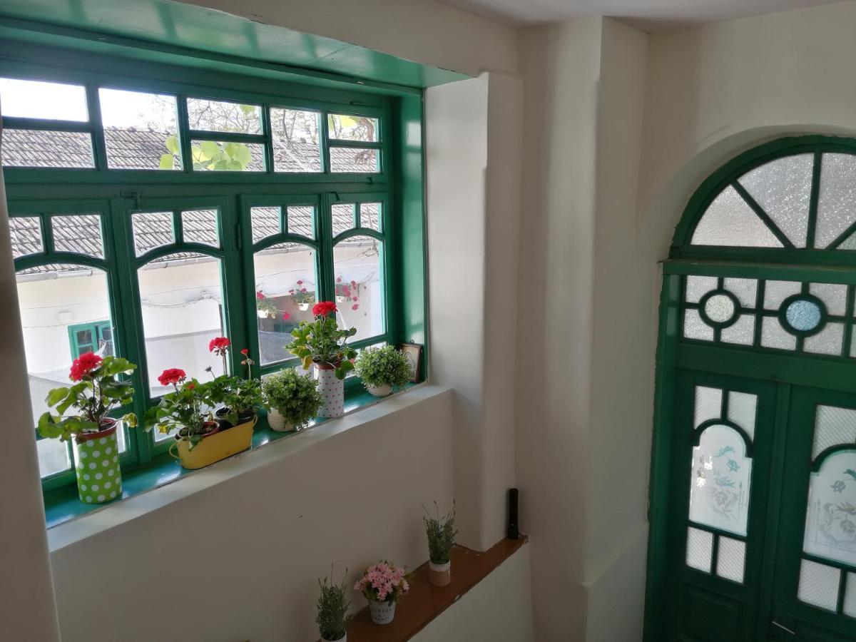 Hello Nature House - Cheile Nerei, Carasului, Garlistei Giurgiova 外观 照片
