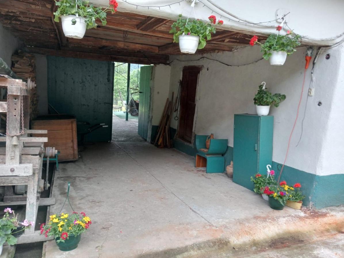 Hello Nature House - Cheile Nerei, Carasului, Garlistei Giurgiova 外观 照片