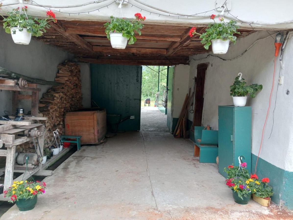 Hello Nature House - Cheile Nerei, Carasului, Garlistei Giurgiova 外观 照片