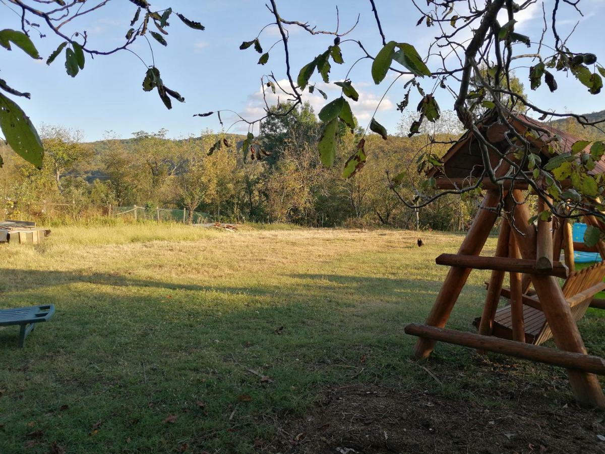 Hello Nature House - Cheile Nerei, Carasului, Garlistei Giurgiova 外观 照片